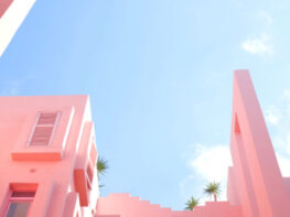 {{brizy_dc_image_alt entityId=